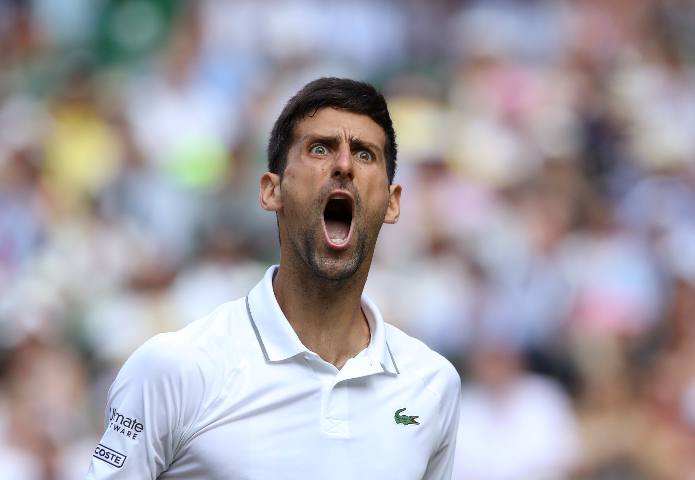 2019-07-12T142320Z_1614967924_RC1707551CE0_RTRMADP_3_TENNIS-WIMBLEDON