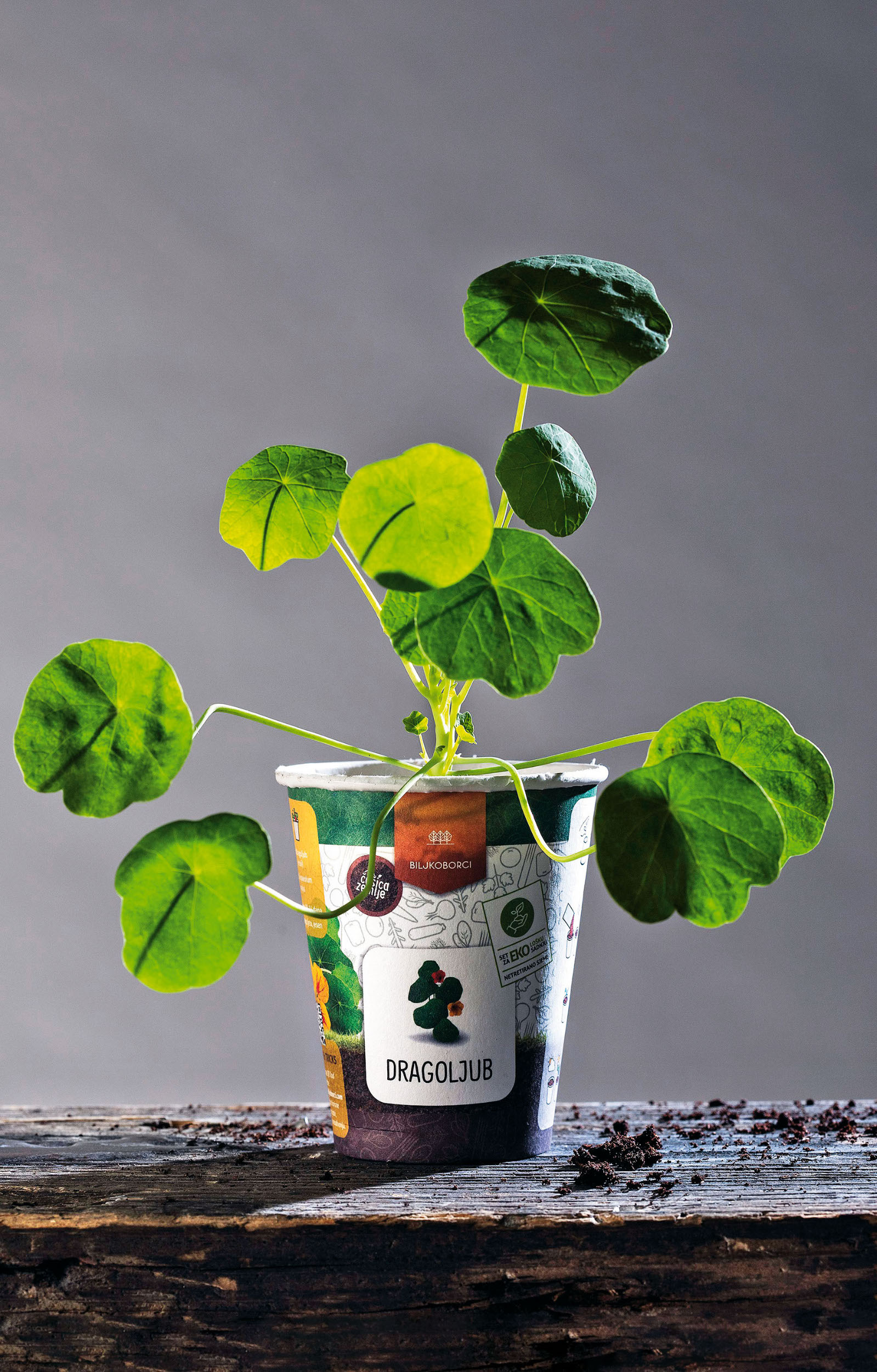 biljkoljupci-biljke6-221018_2