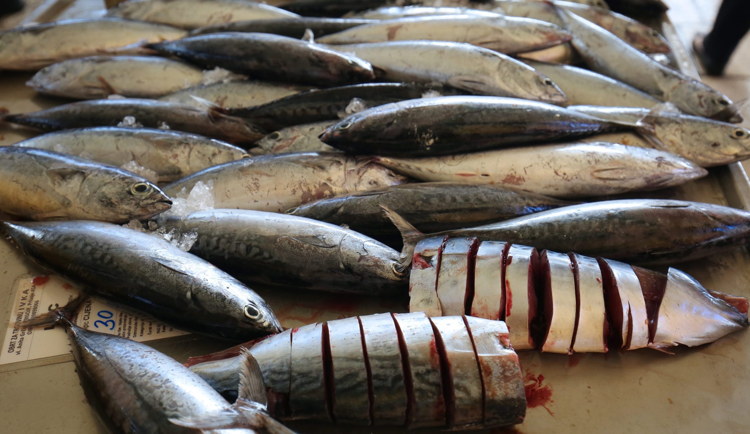 Ilustracija: Ponuda ribe na ribarnici