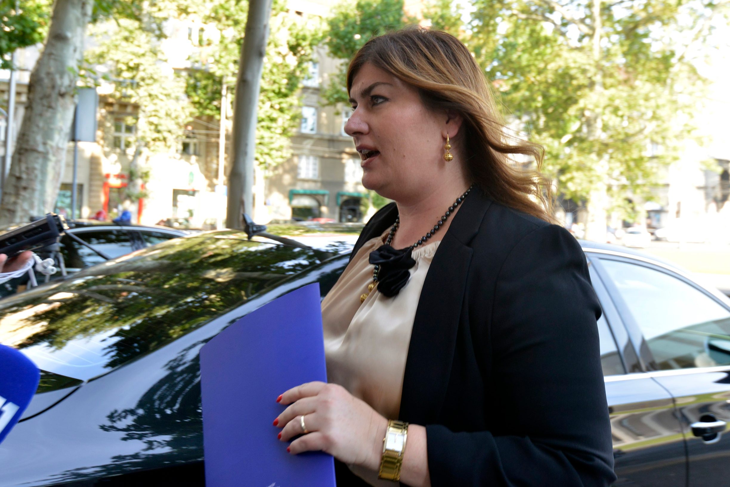 hdz_predsjednistvo4-170719