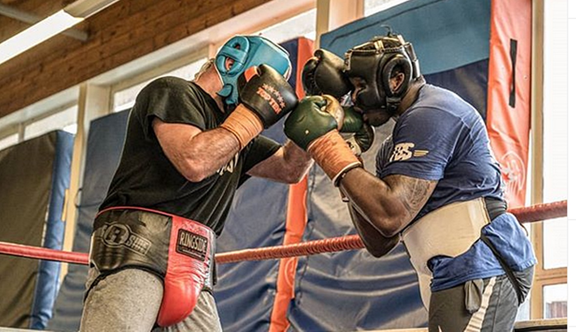 Alen Babić i Dillian Whyte