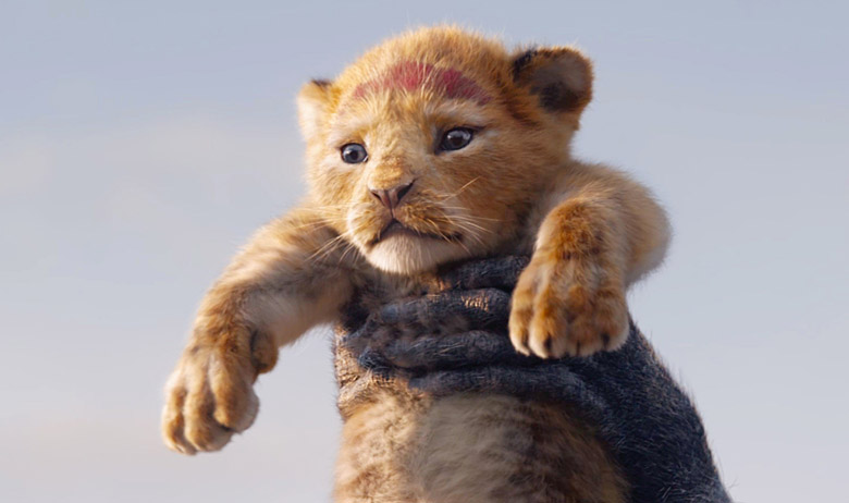 profimedia-0400612951