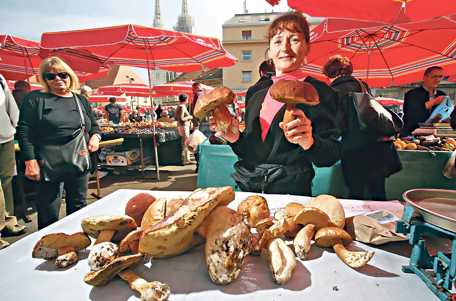 Damjan_Tadic_vrganji