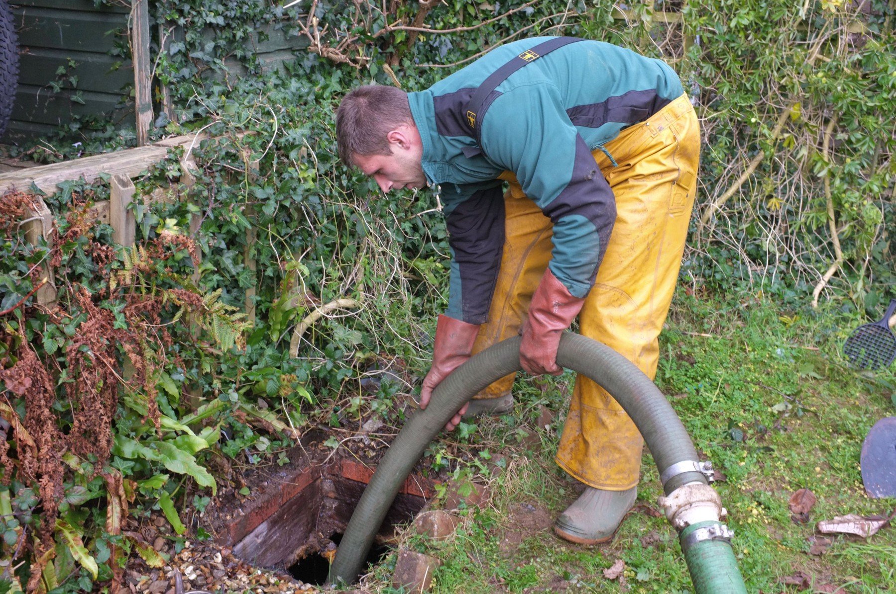 profimedia-0159501093