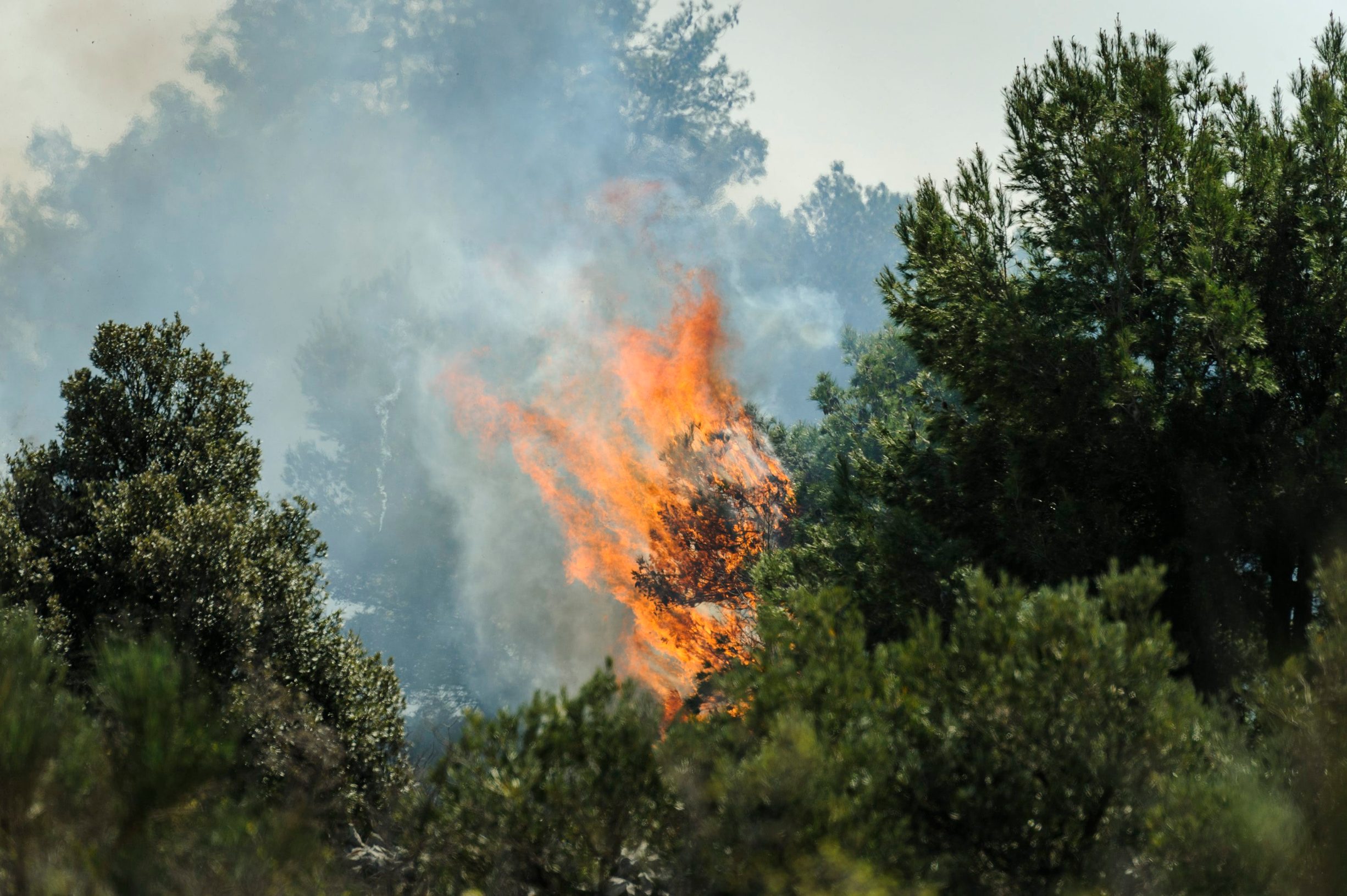 kanader_pozar01-010419