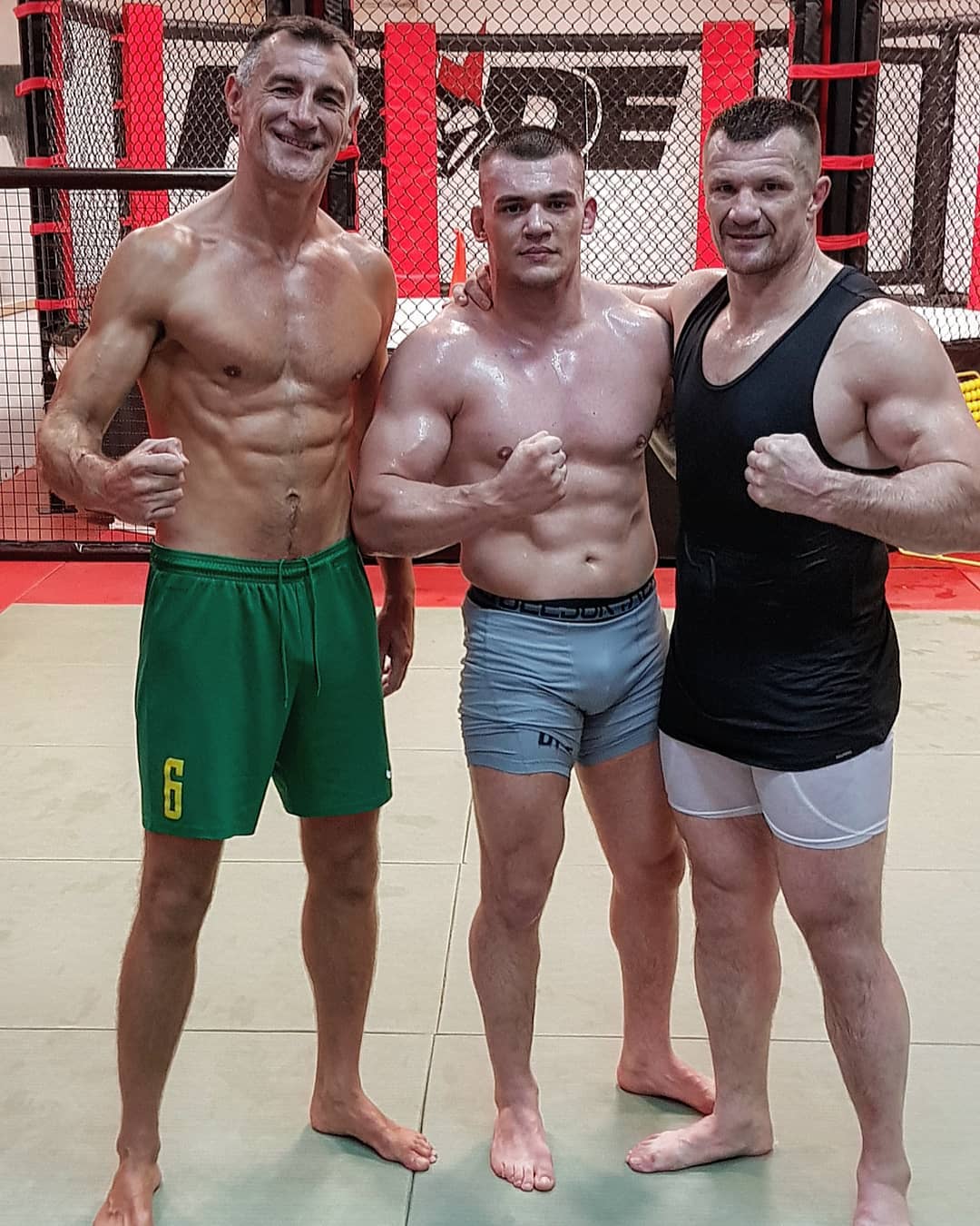 Stipe Drviš, Darko Stošić i Cro Cop 