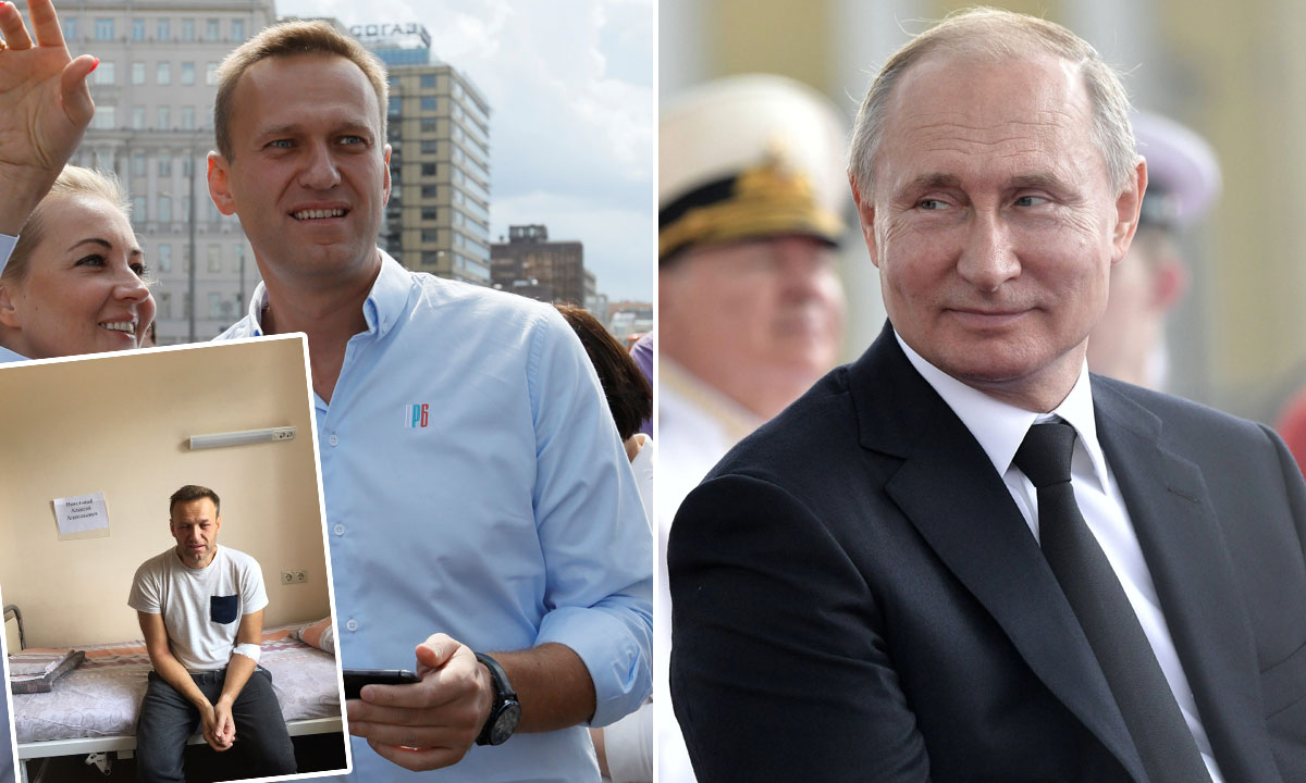 Aleksej Navaljni (lijevo i dolje lijevo), Vladimir Putin (desno)