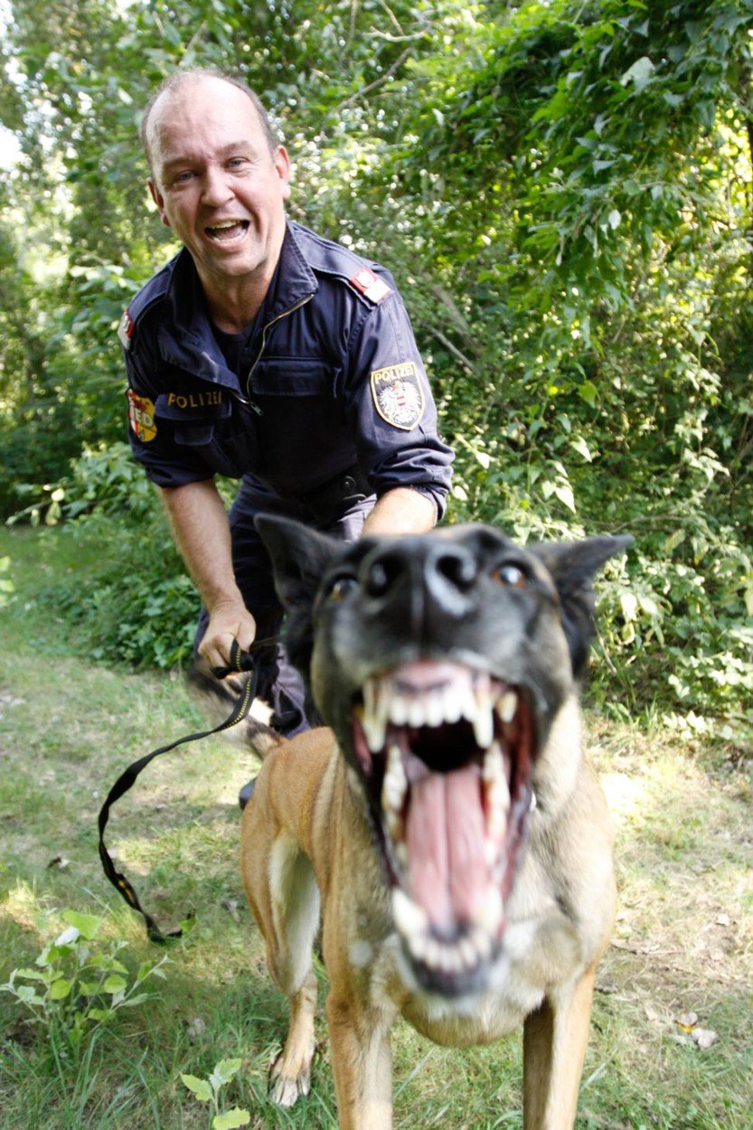 profimedia-0055293876