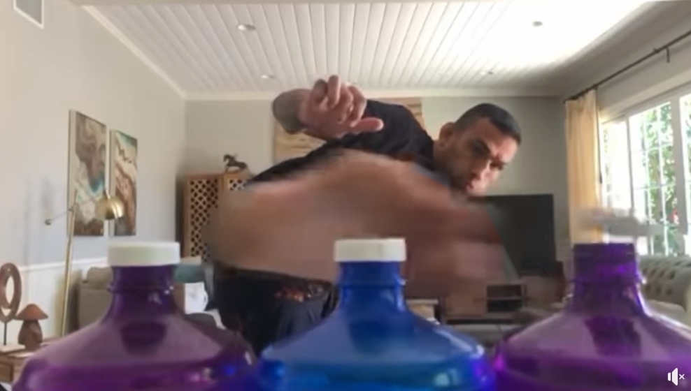 Fabricio Werdum