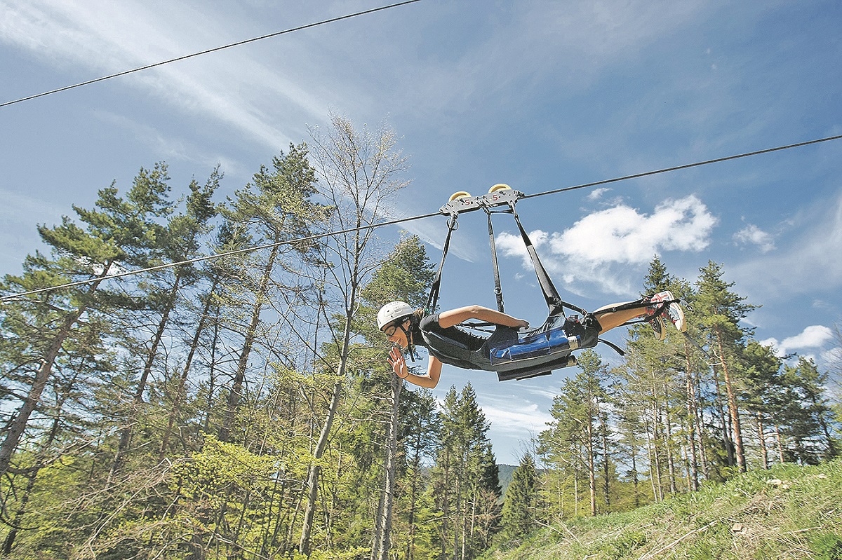 250157-320825-zip_line9-020517_1
