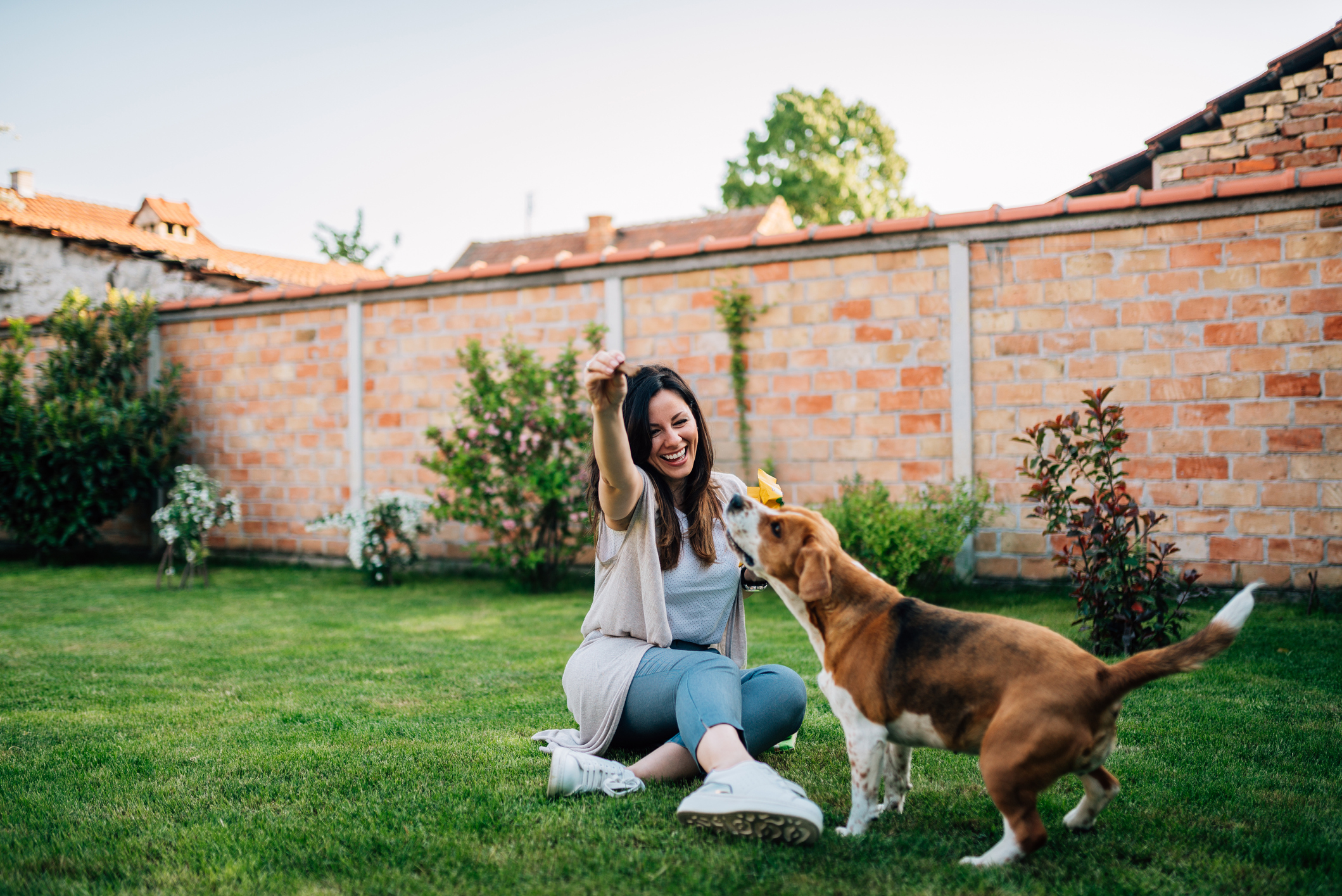 iStock-971630290