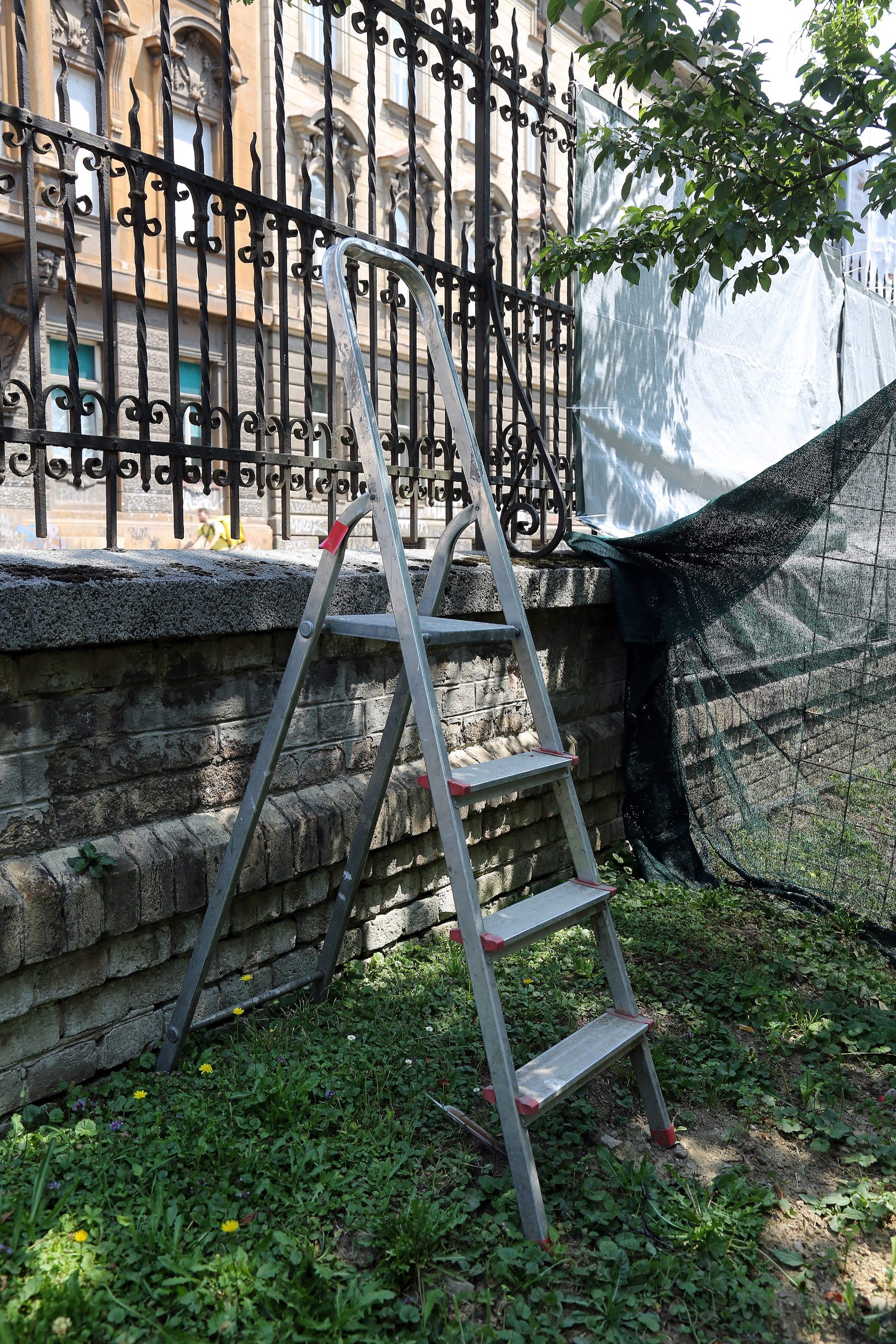 kaktusi_kradja-050719