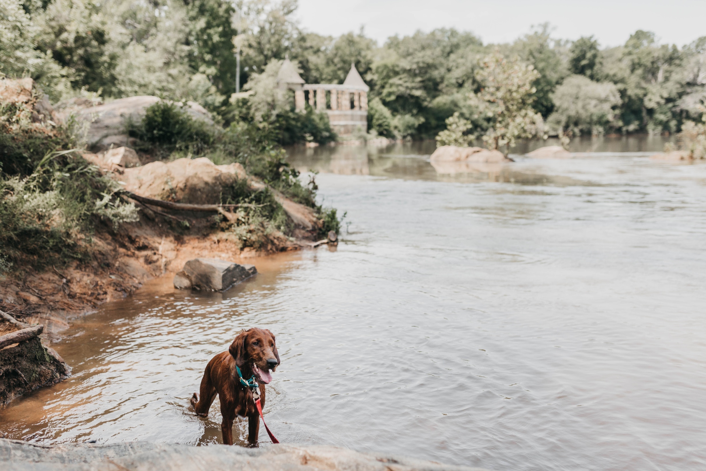camylla-battani-msU59rPIl9A-unsplash