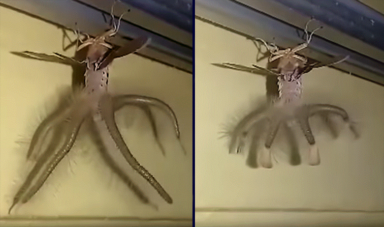 profimedia-0155913528s copy