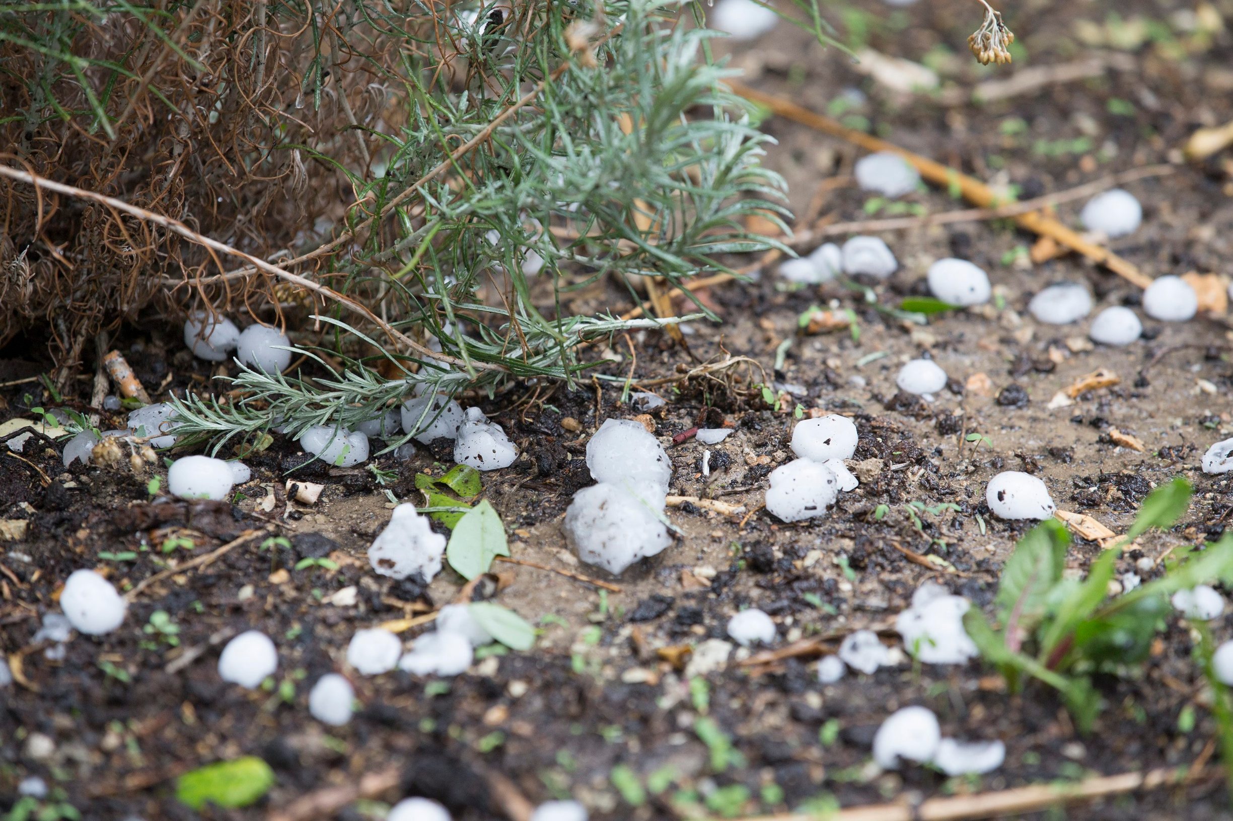 olujno_nevrijeme2-170917