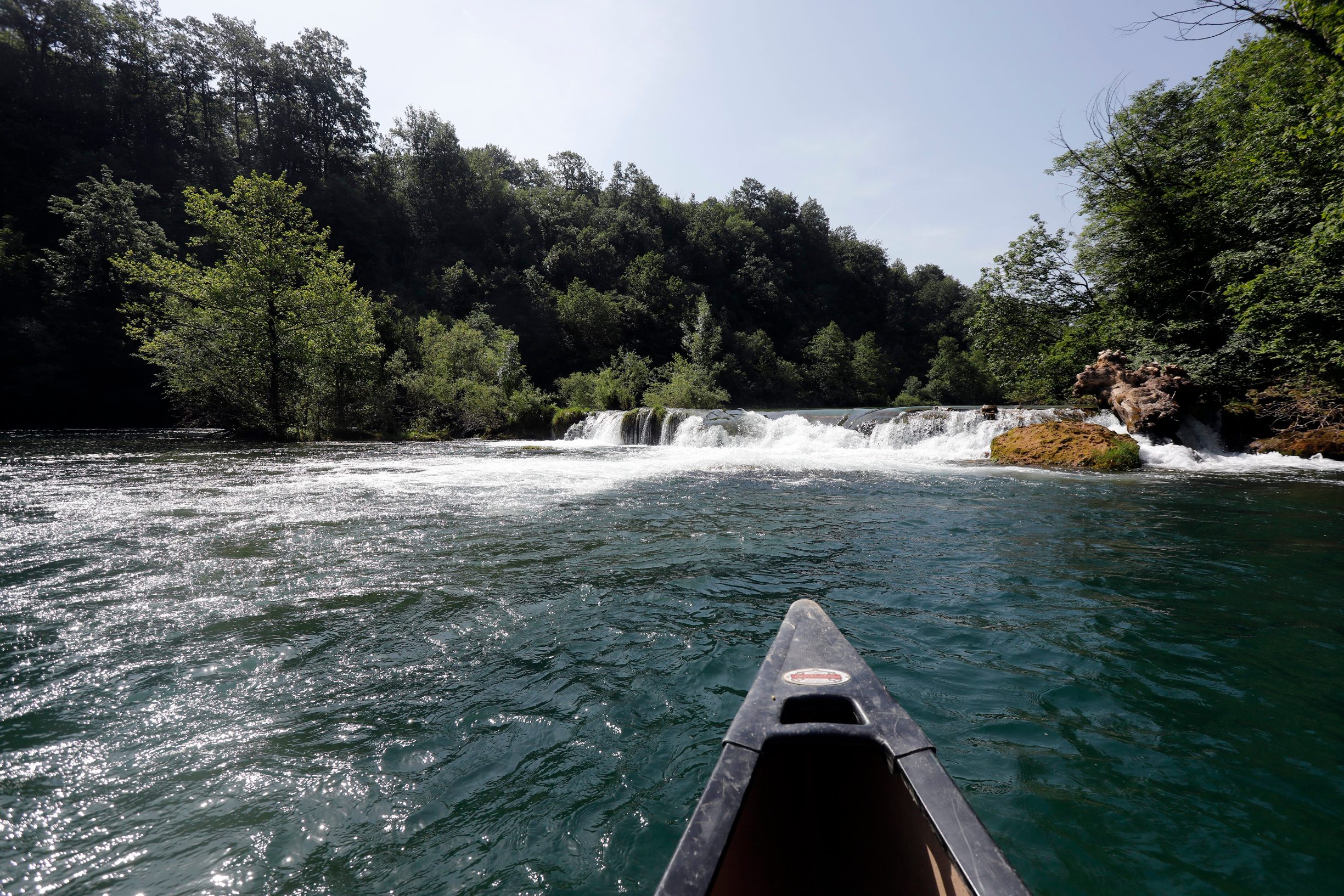 mreznica_hrana3-130619