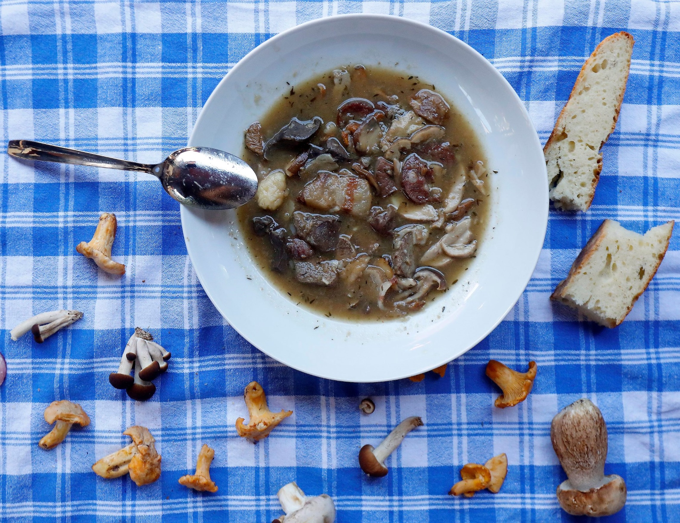 mreznica_hrana41-130619