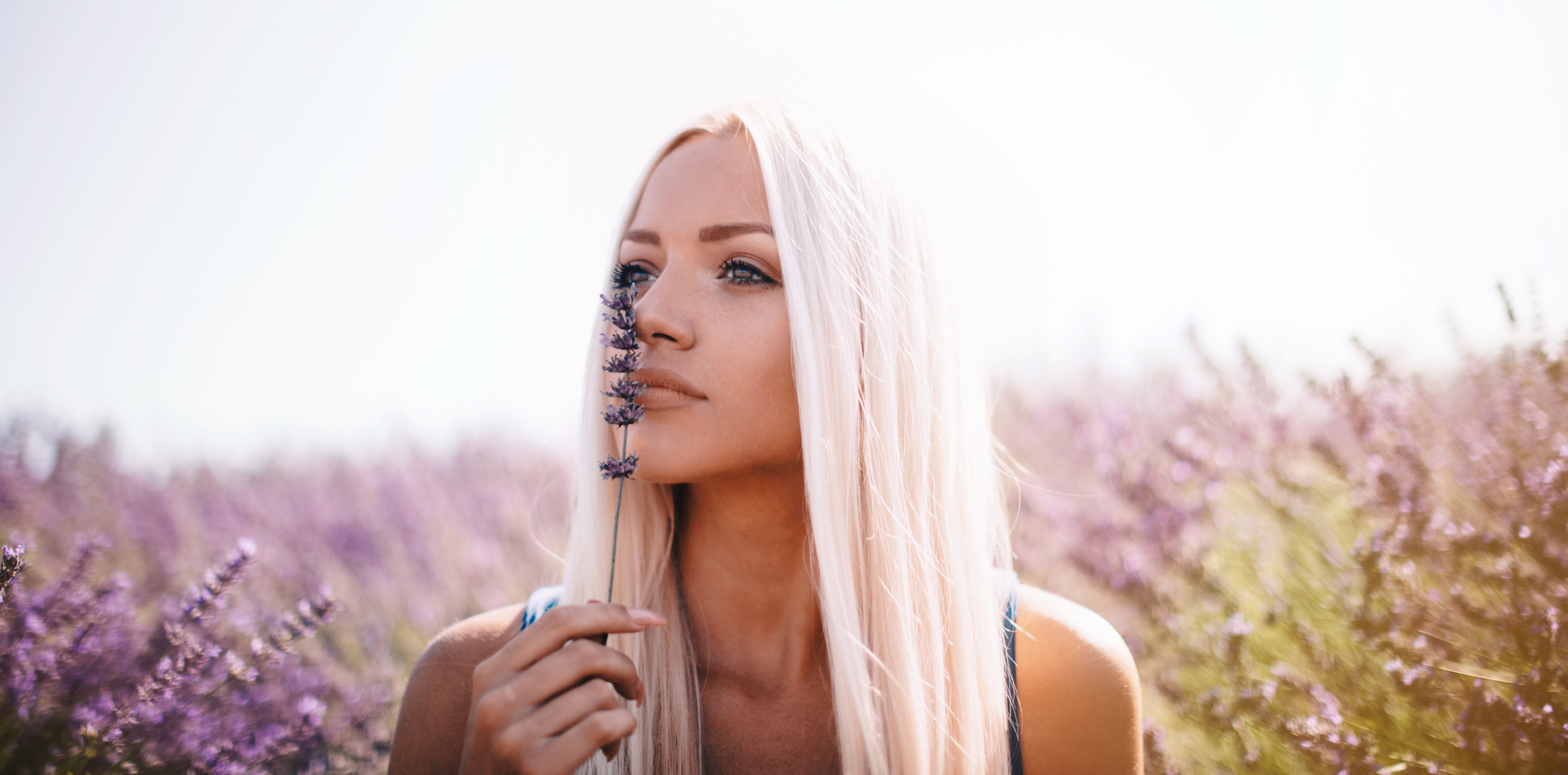 Lavanda se može upotrebljavati kao ulje, tinktura, mirisni jastučić s biljem.