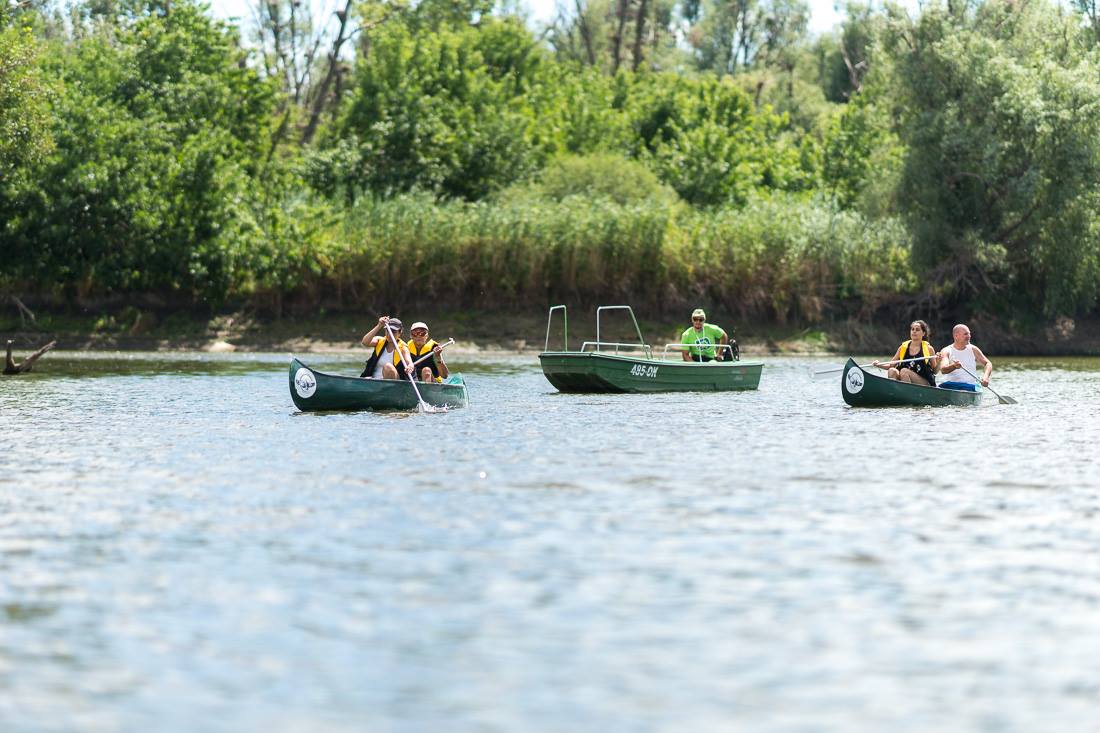 19956182_839511106224161_2818881663027157637_o