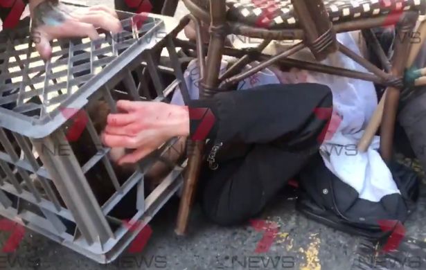 0_Screen-Shot-2019-08-13-at-060406