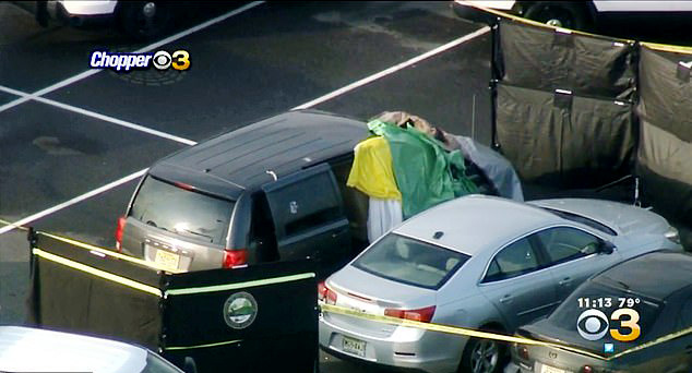 17466202-7373699-image-a-2_1566265651889