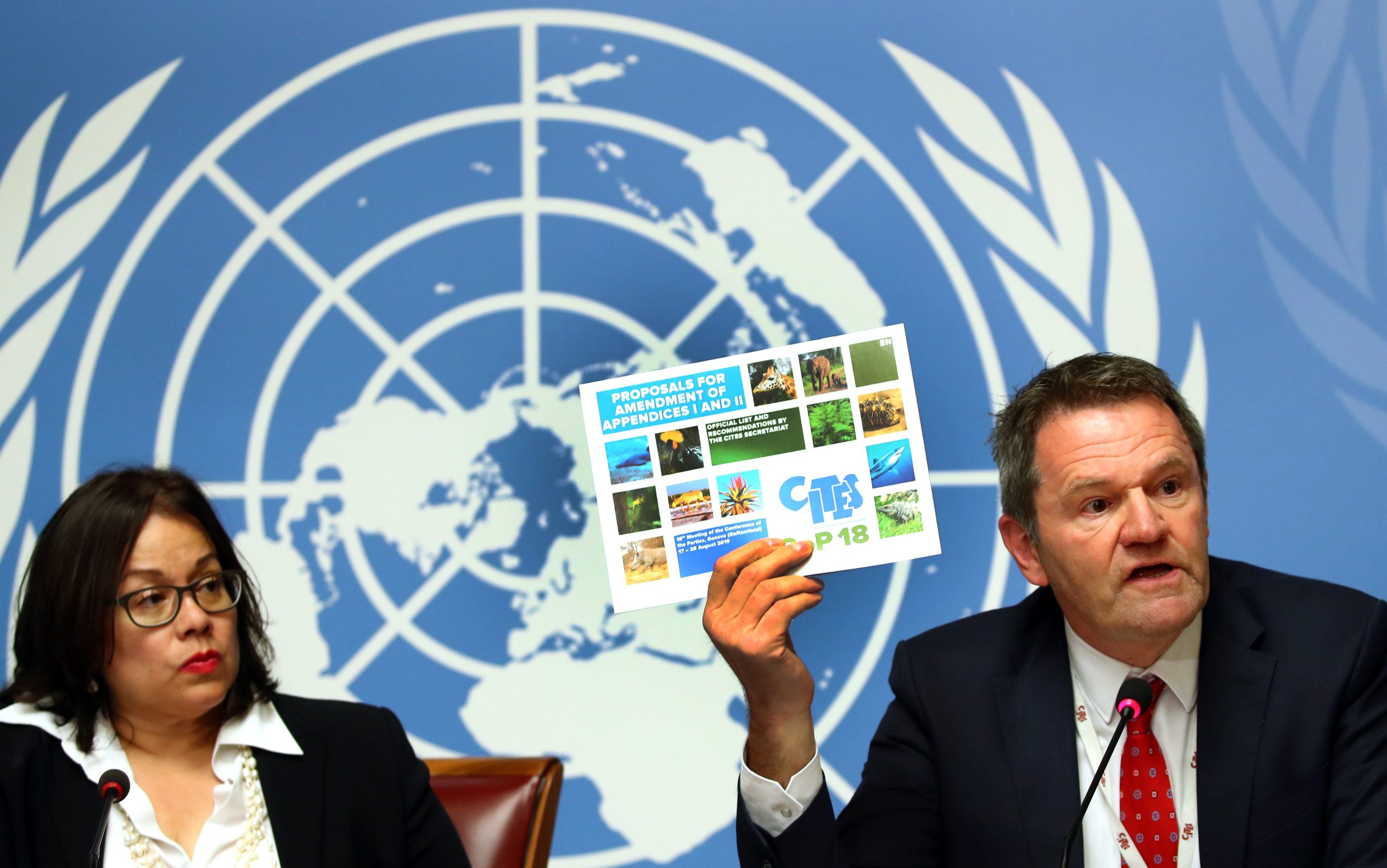 2019-08-13T122558Z_1678370151_RC145CBF0240_RTRMADP_3_ENVIRONMENT-TRADE