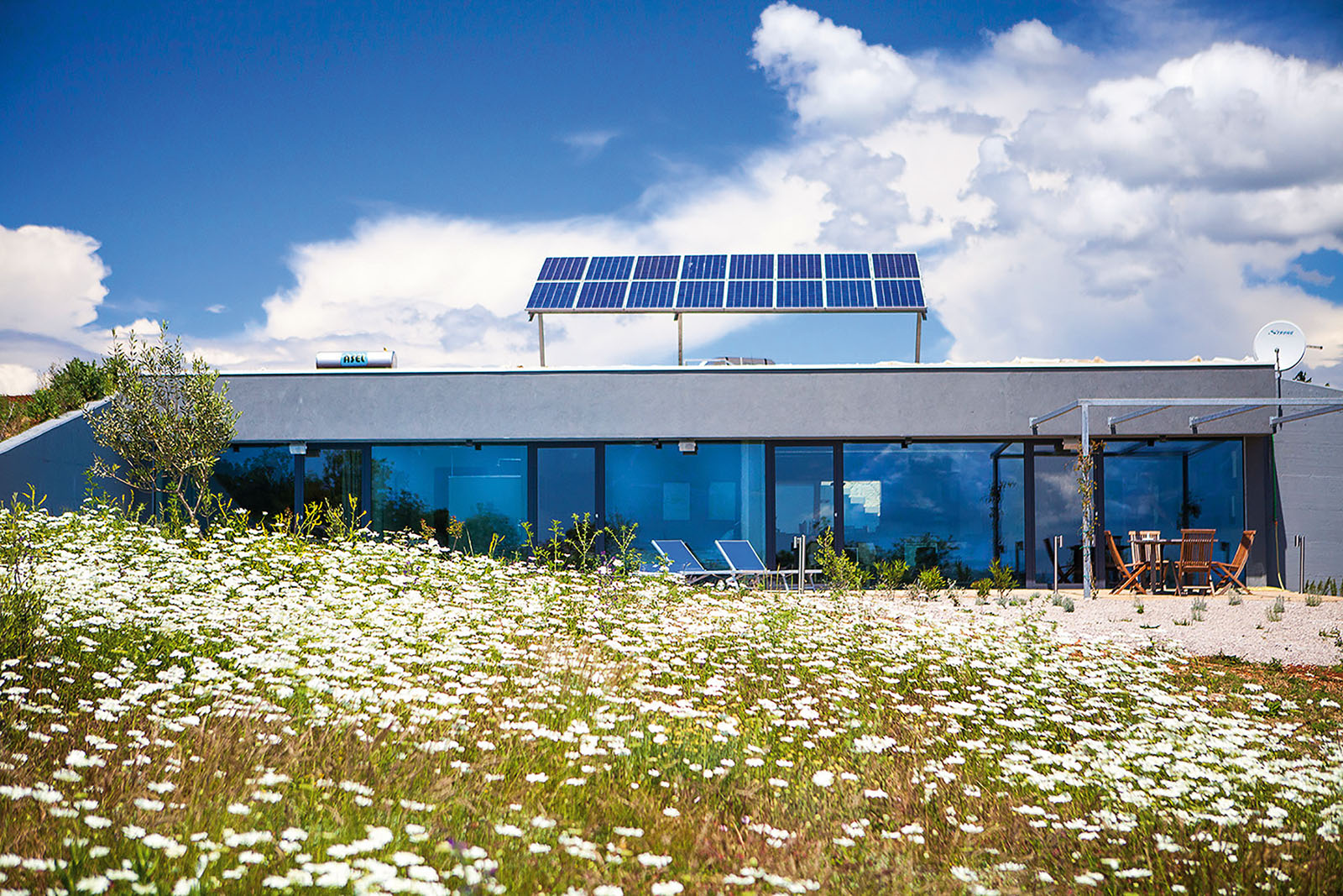 253135-325592-foto_Ivica_Brusic