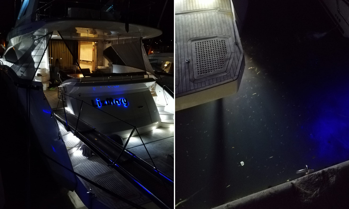 Zagađenje fekalijama u Komiži