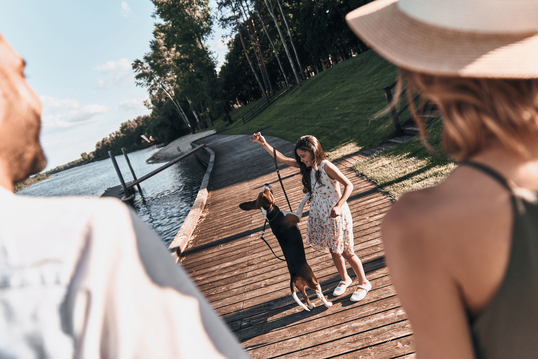 Bihevioralna znanstvenica Dorit Feddersen-Petersen nagađa da su psi počeli lajati tijekom pripitomljavanja jer su i ljudi proizvodili zvukove.