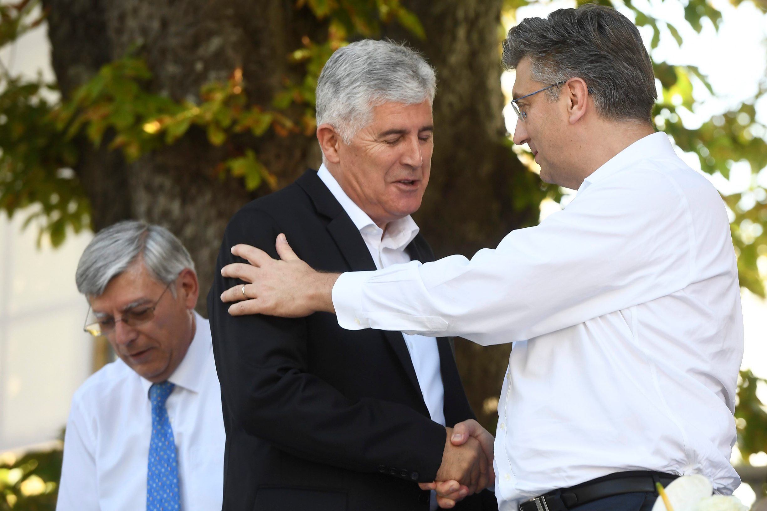 Dragan Čović i Andrej Plenković