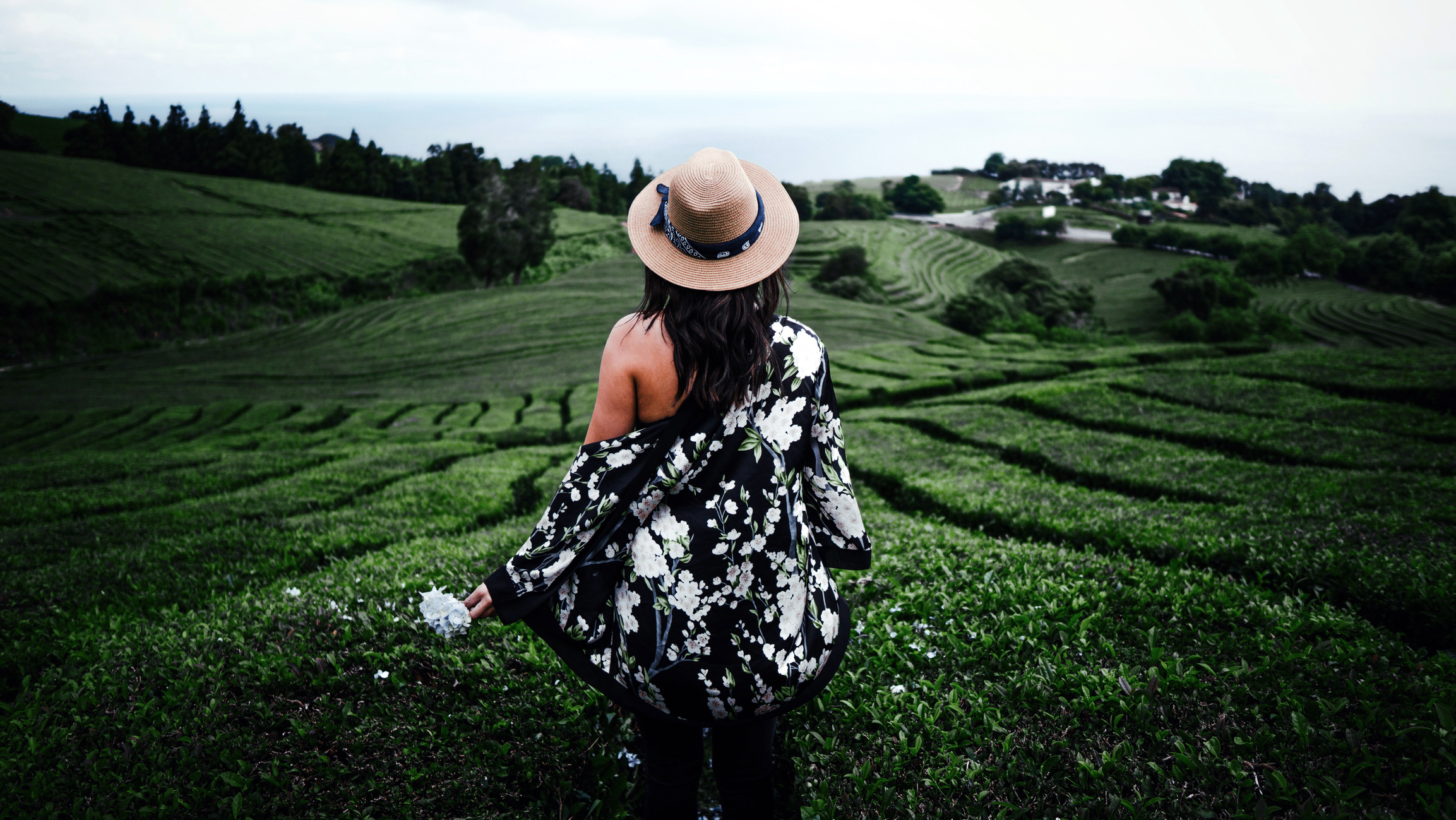 Više je studija pokazalo da ova biljka može pomoći imunosnom sustavu u borbi protiv infekcija i virusa te tako ubrzati oporavak.