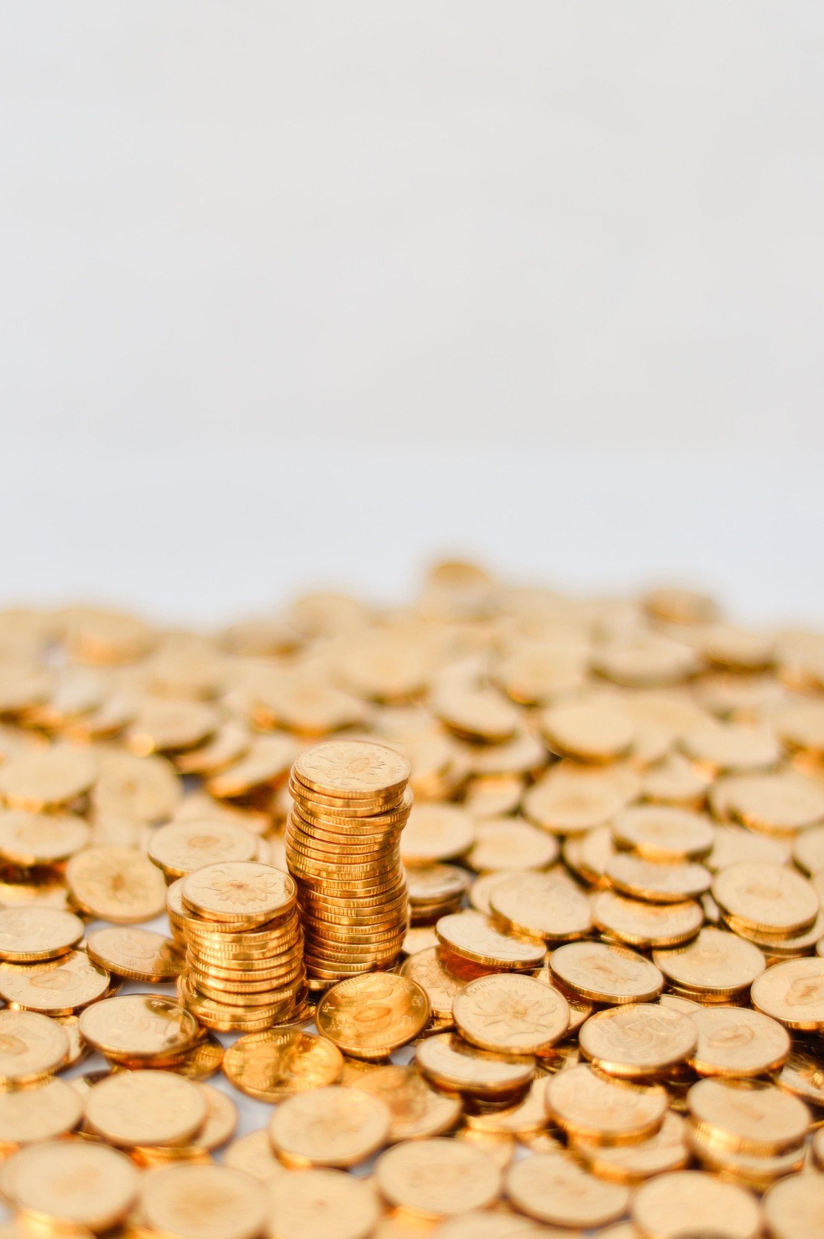 profimedia-0358523116