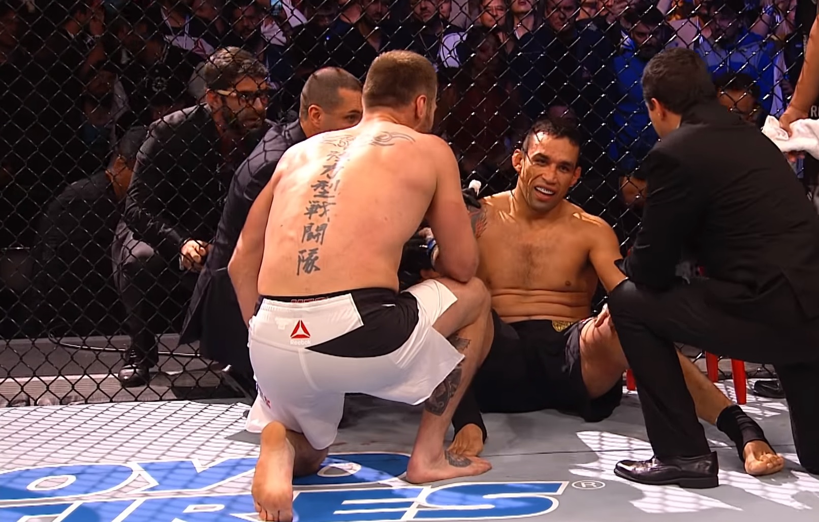Stipe Miočić i Fabricio Werdum