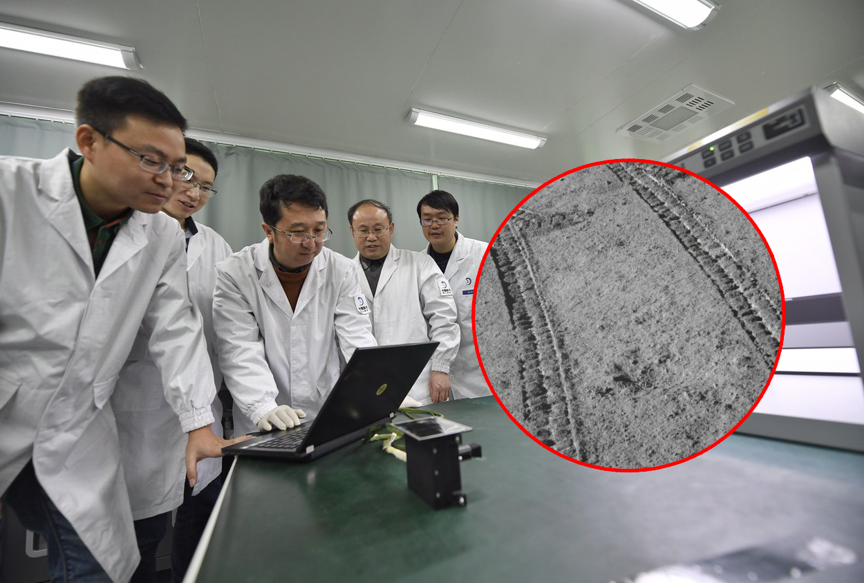 profimedia-0408352797 copy