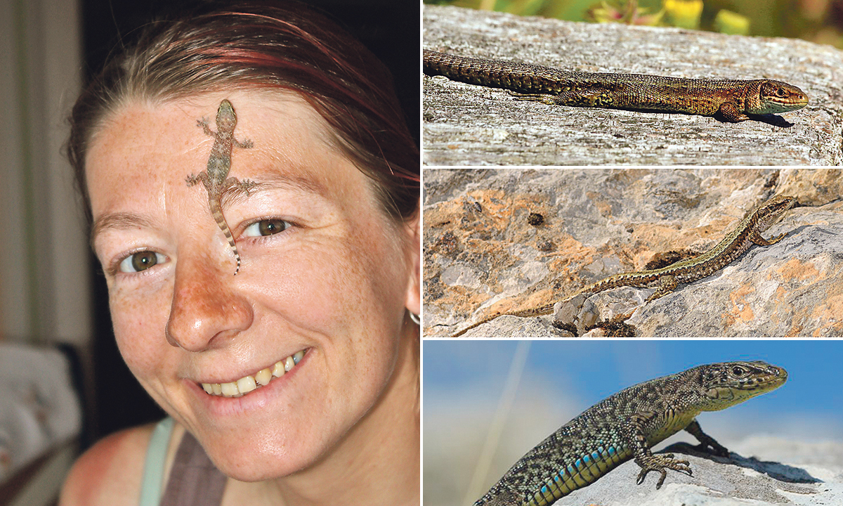 Dr. Olga Jovanović Glavaš; Tri najugroženije vrste gušterica u Hrvatskoj: Živorodna, Velebitska i Mosorska 