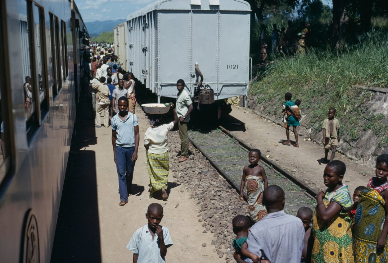 profimedia-0132178510