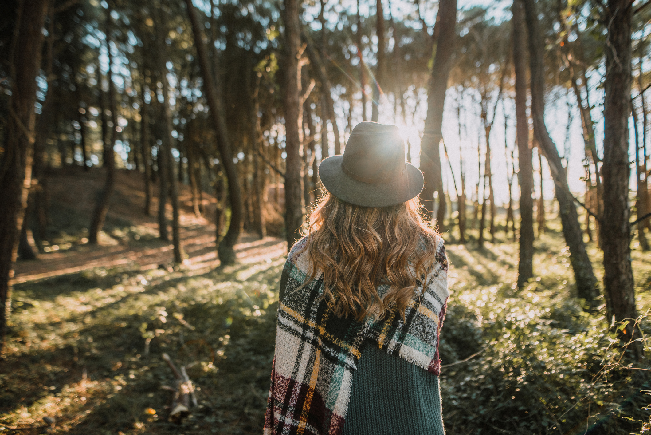 iStock-1071417318