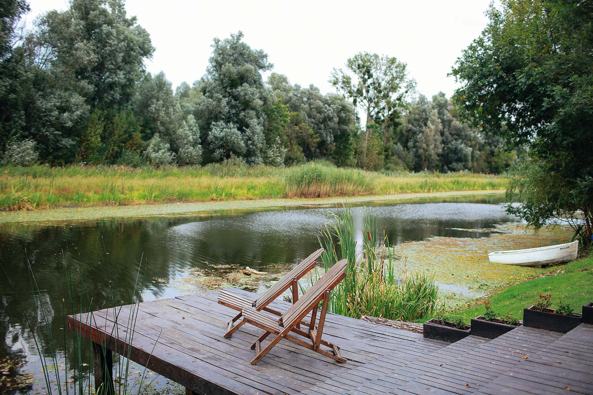 Savršen odmor s pogledom na Kopački rit