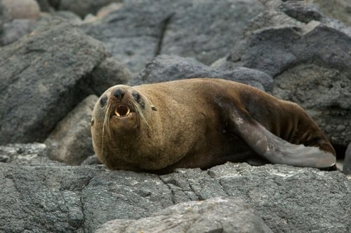 profimedia-0132531948