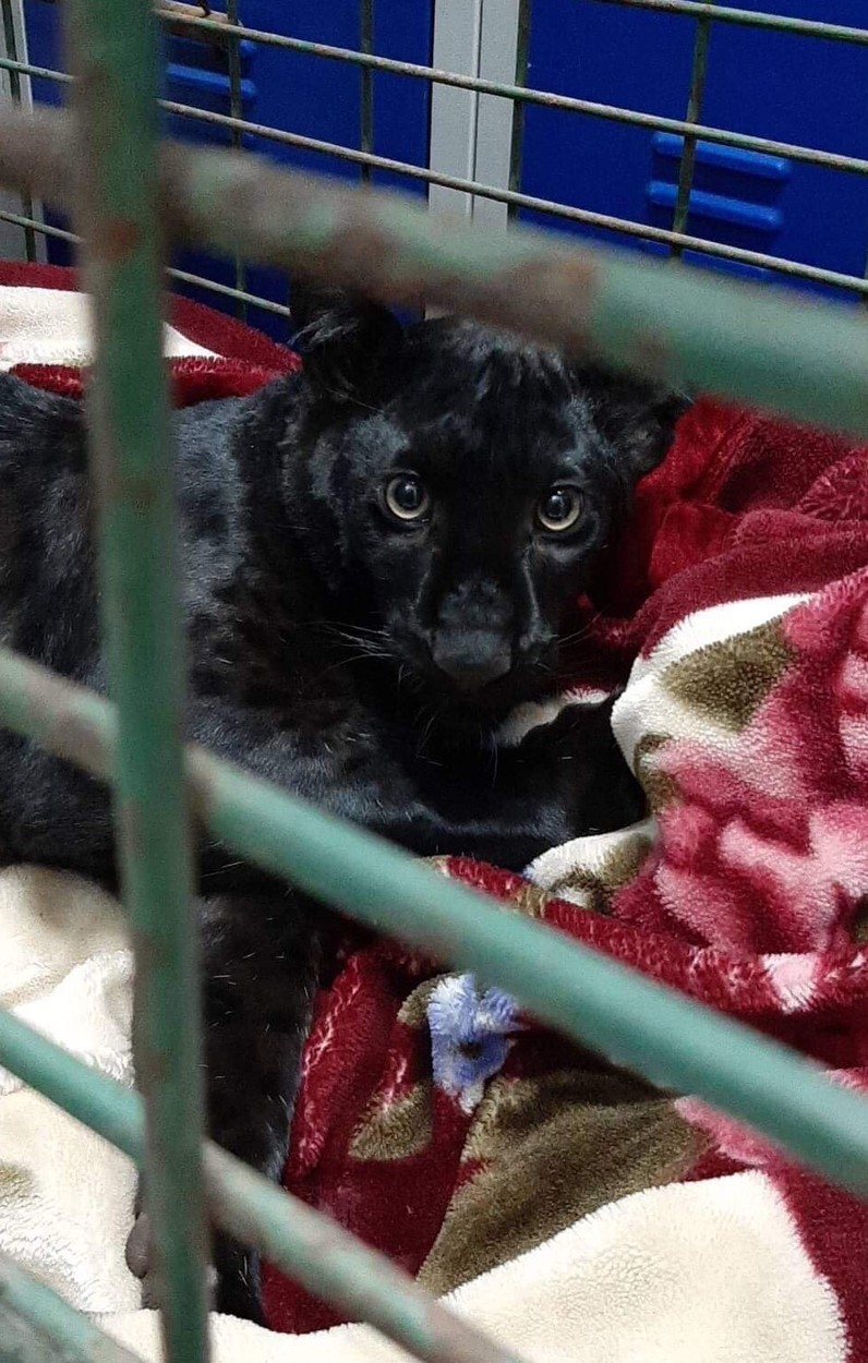 profimedia-0471798645