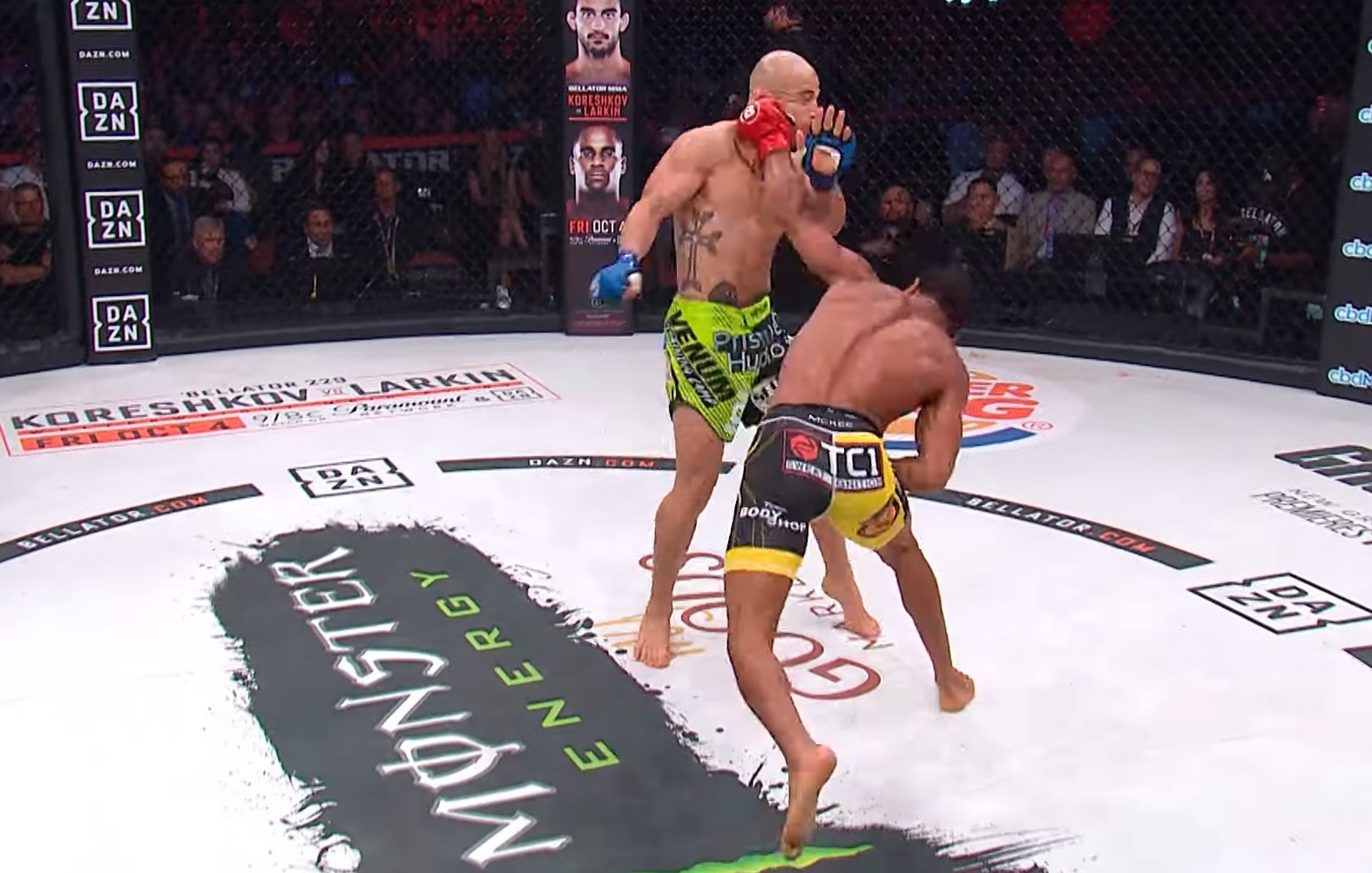 Bellator 228