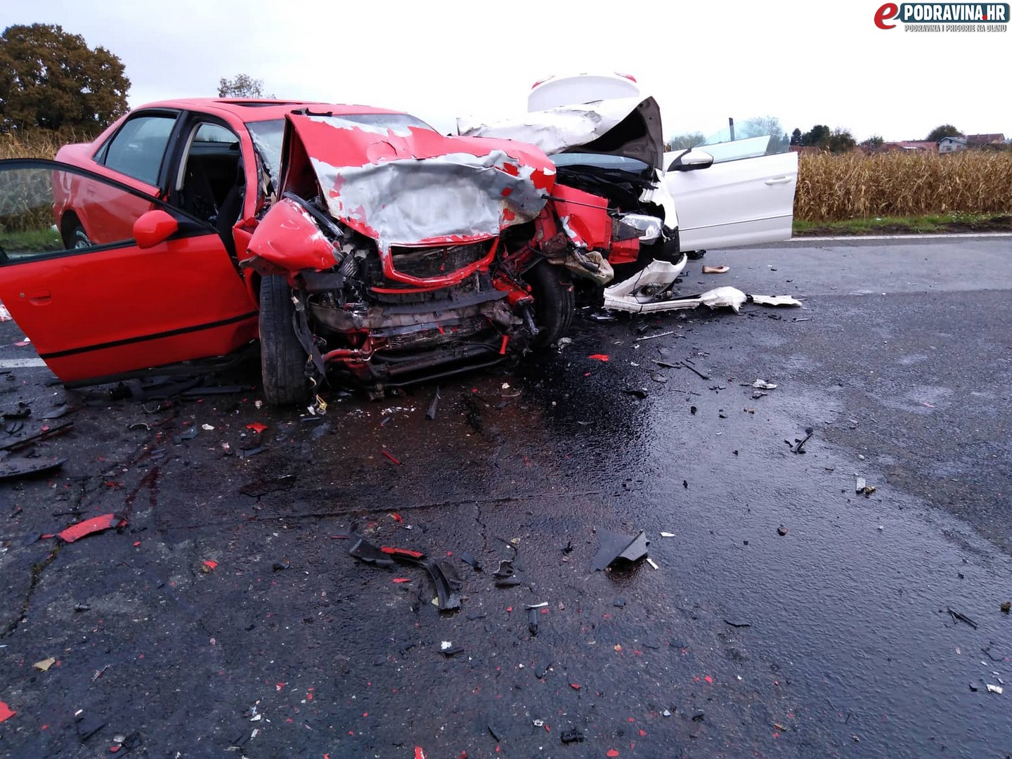 70938655_418566872132430_4581146687828918272_n