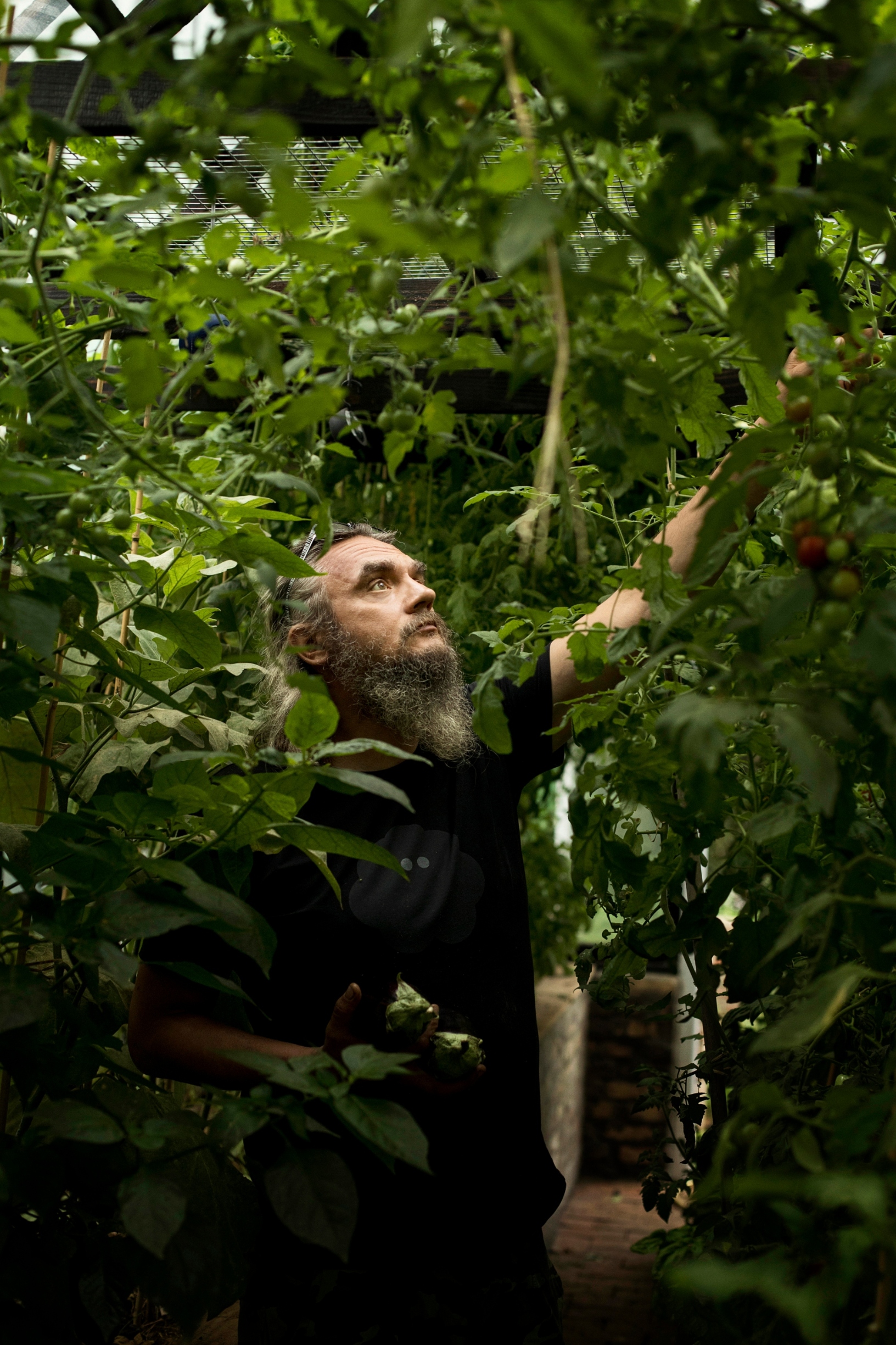 mario_romulic081420190013a