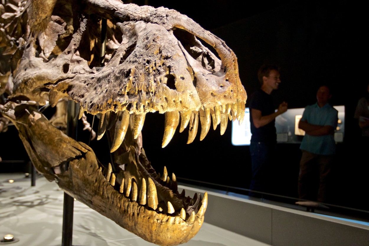 profimedia-0467918372