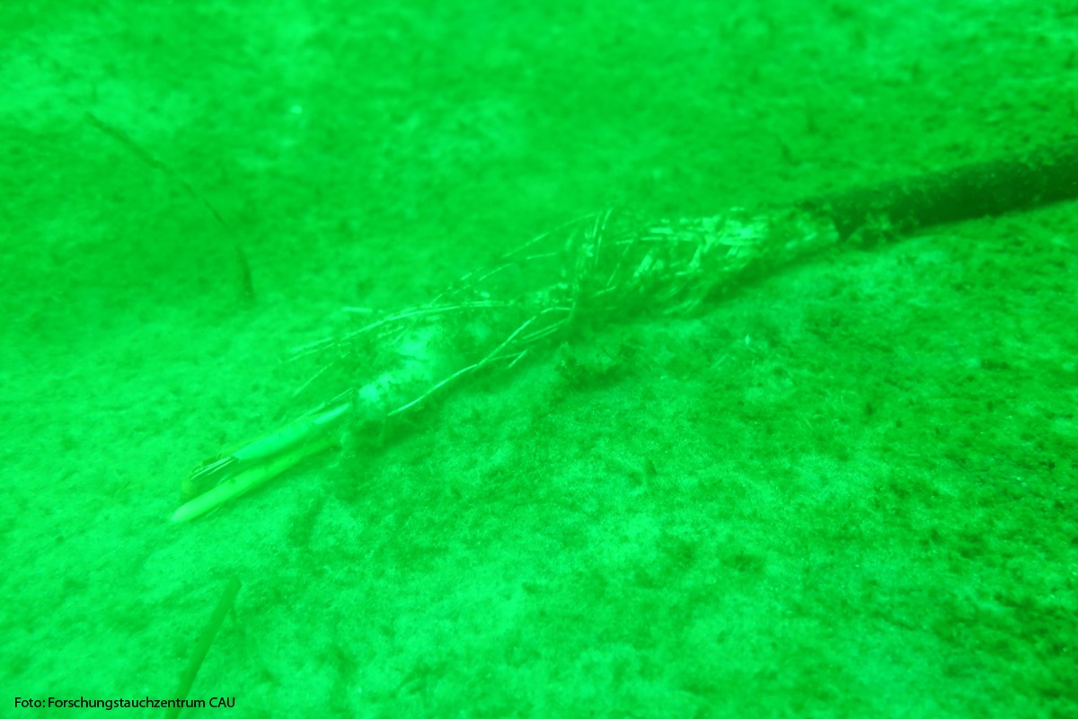 69900492_2511084019115142_295434307617423360_o