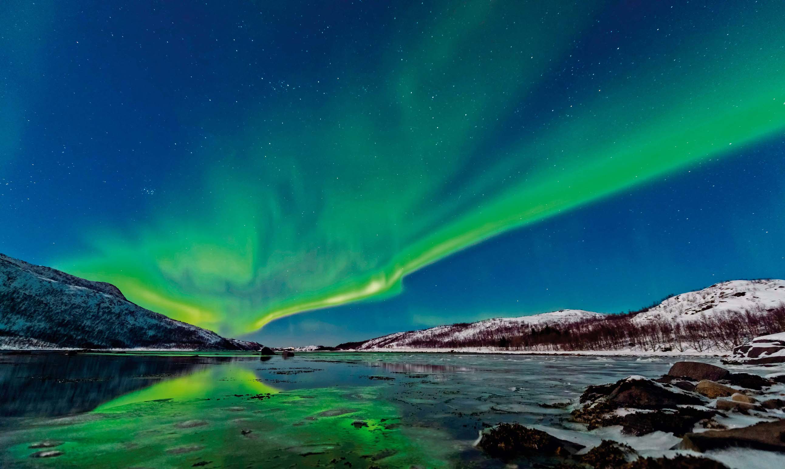 gettyimages-976560966-612x612--2-