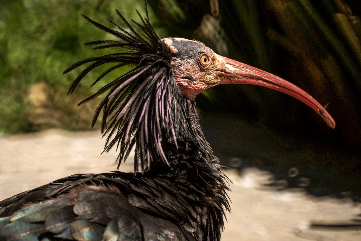 profimedia-0301955772