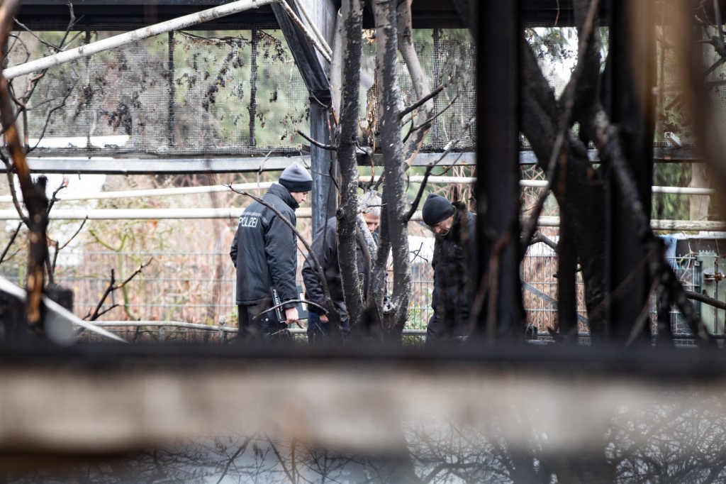 043_dpa-pa_200102-99-324957_dpai