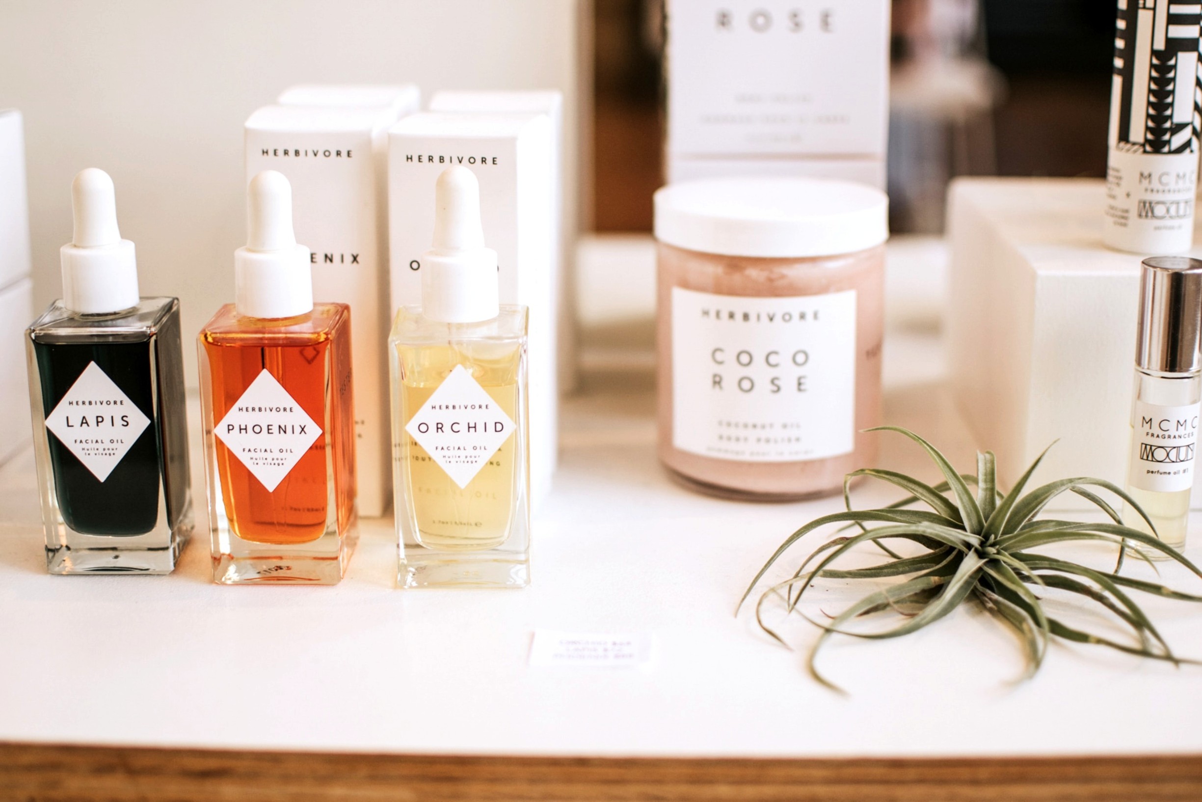 lauren-fleischmann-EHBdDV_nL2E-unsplash (1)