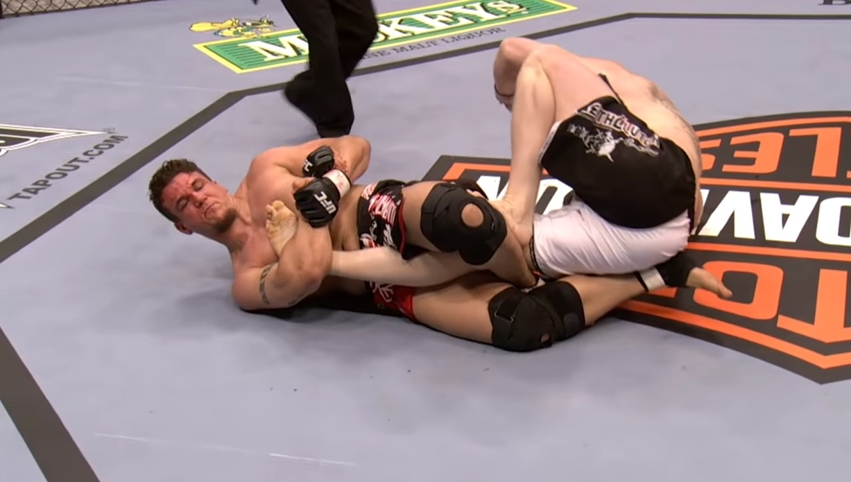 Frank Mir vs. Brock Lesnar